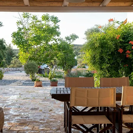 With Pool Among Olive Trees